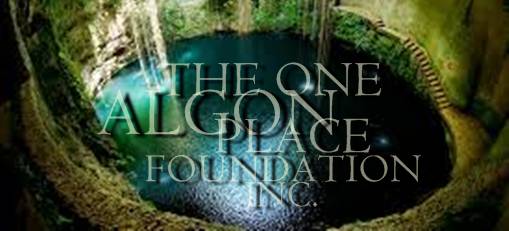 The One Algon Place Foundation, Inc. & Academy Of Hope